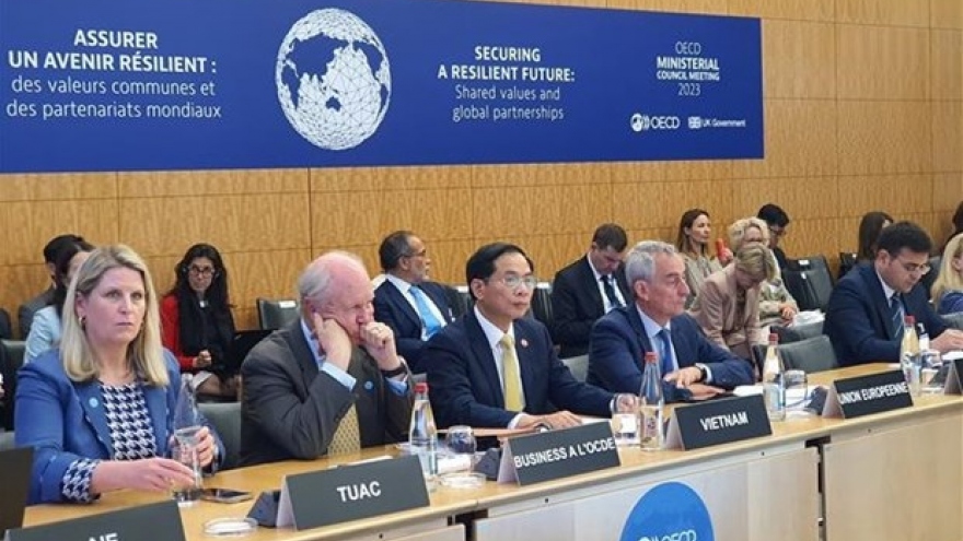 Vietnam represented at OECD Ministerial Council Meeting 2023